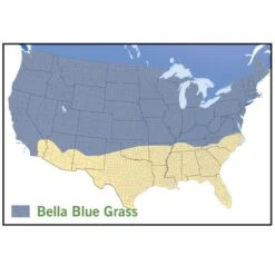 Bella™ Bluegrass Grass Plugs -Sosoli Plant Shop bella blue grass map