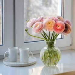 Pastel Ranunculus Mix 7 Pastel Ranunculus Mix -Sosoli Plant Shop pastel ranunculus mix pastel persian buttercup mix window still vase